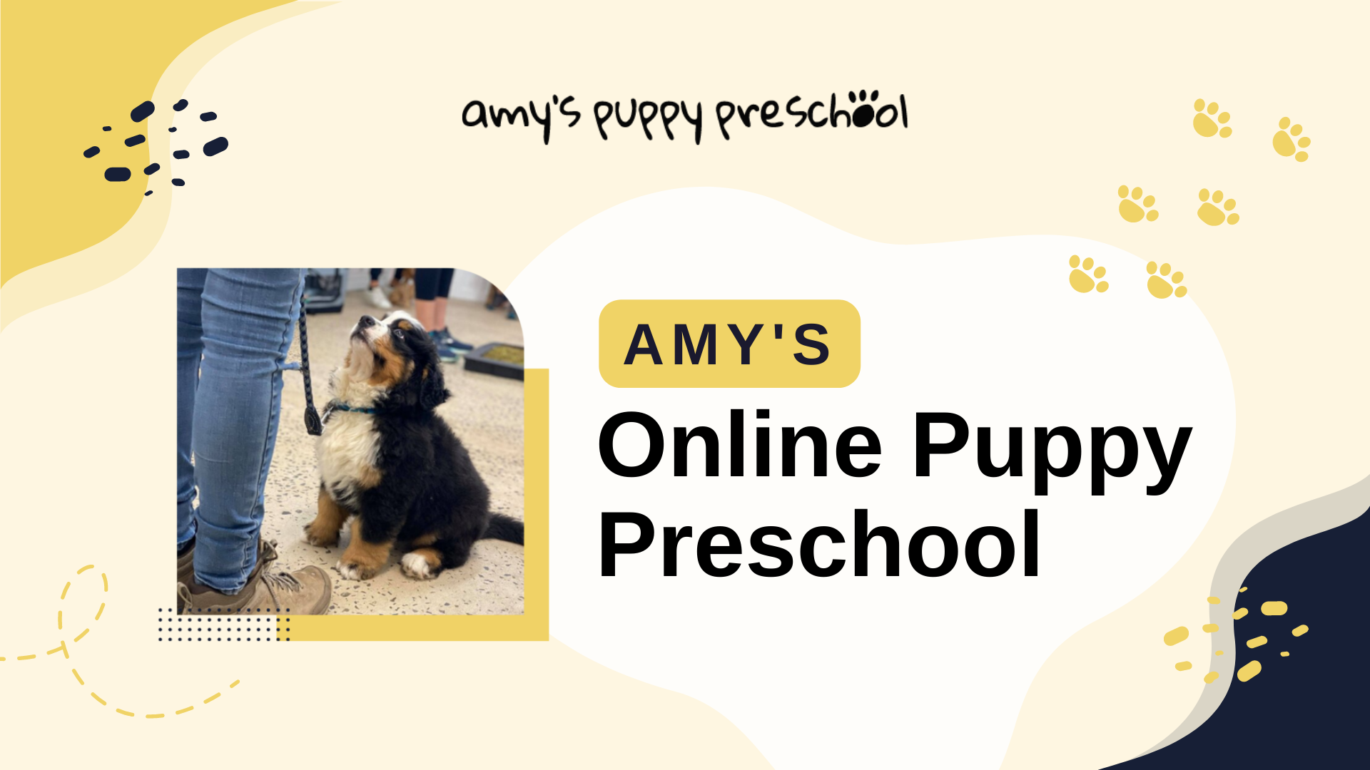 Amy puppy deals school